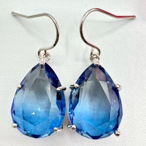 Blue Crystal Pear Shaped Dangle Earrings Silver Tone Princesscore Regency Royal